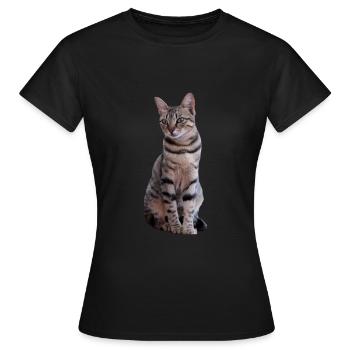 chat chats chaton doux cadeau de Noël - T-shirt Femme - noir - Devant - AI Model Female 172 dark (172cm)