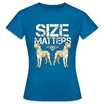 Irish Wolfhound Größe - Frauen T-Shirt - Antikblaues Saphir meliert - Vorne - AI Model Female 172 dark (172cm)