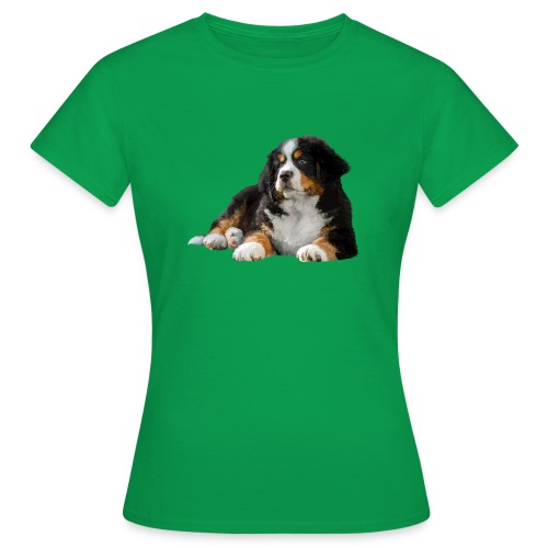 Berner Sennenhund - Frauen T-Shirt