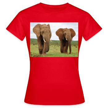 Zwei Elefanten auf Savanne - Frauen T-Shirt - Rot - Vorne - AI Model Female 172 dark (172cm)