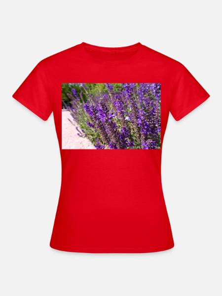 Vibrant Purple Salvia Flowers - Frauen T-Shirt - Rot