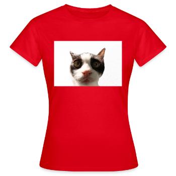 Katze - Frauen T-Shirt - Rot - Vorne - AI Model Female 172 dark (172cm)