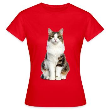 Chat moelleux mixte – Moelleux et plein de personnalité - T-shirt Femme - rouge - Devant - AI Model Female 172 dark (172cm)