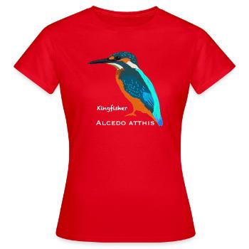 Eisvogel, wissenschaftliche /englische Bezeichnung - Frauen T-Shirt - Rot - Vorne - AI Model Female 172 dark (172cm)
