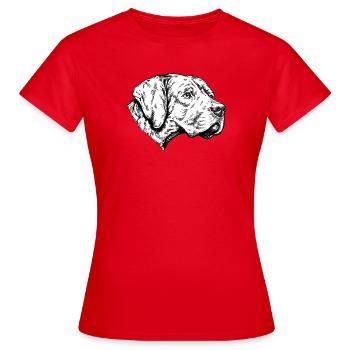 Braque du Bourbonnais Portrait - Frauen T-Shirt - Rot - Vorne - AI Model Female 172 dark (172cm)