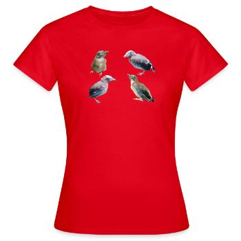 Jay Young Birds - Women's T-Shirt - red - Front - AI Model Female 172 dark (172cm)