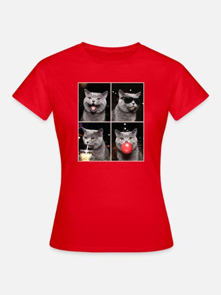 Katzen Britisch Kurzhaar Katze - Frauen T-Shirt - Rot