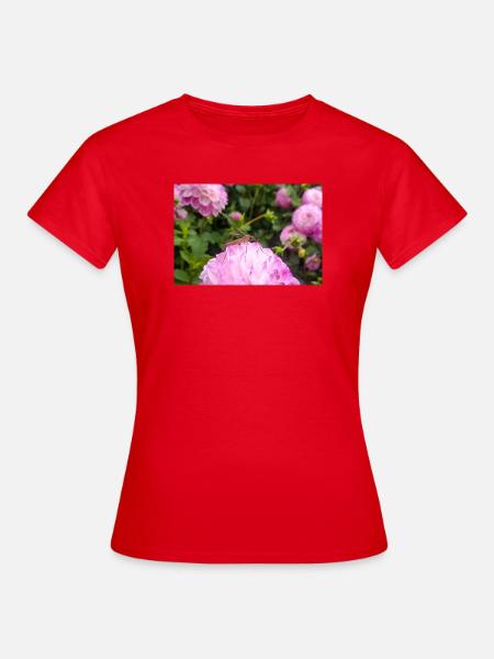 Rosa Dahlie mit Schnake – Makro Naturfotografie - Frauen T-Shirt - Rot