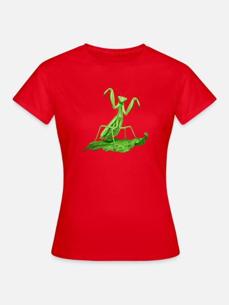 Gottesanbeterin grün - Frauen T-Shirt - Rot