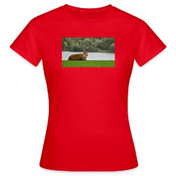 Hirsche am Ufer des Sees - Frauen T-Shirt - Rot - Vorne - AI Model Female 172 dark (172cm)