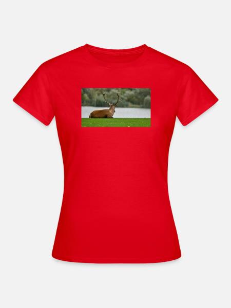 Hirsche am Ufer des Sees - Frauen T-Shirt - Rot