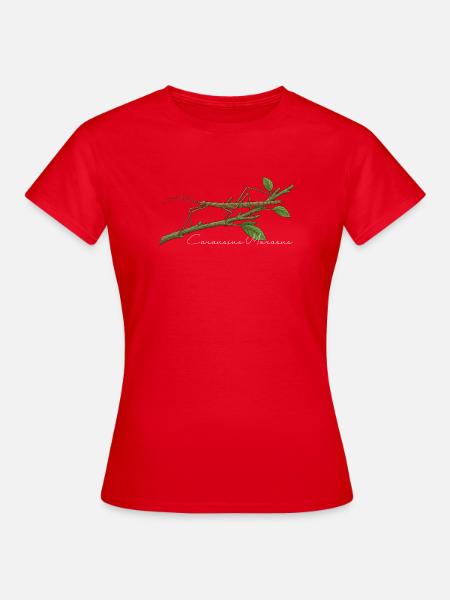 Indische Stabschrecke Carausius morosus - Frauen T-Shirt - Rot