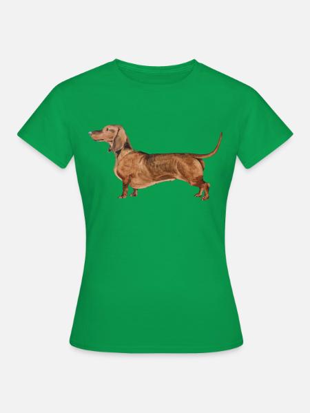 Dackel Kurzhaardackel Dachshund - Dame-T-shirt - kelly grøn