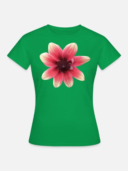 Dahlie rot gelb - Frauen T-Shirt - Kelly Green