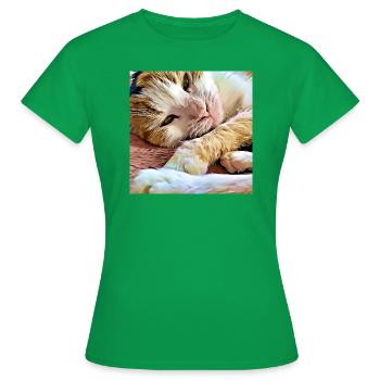 Nahaufnahme älterer Hauskatzen beim Legen und Ausruhen - Frauen T-Shirt - Kelly Green - Vorne - AI Model Female 172 dark (172cm)