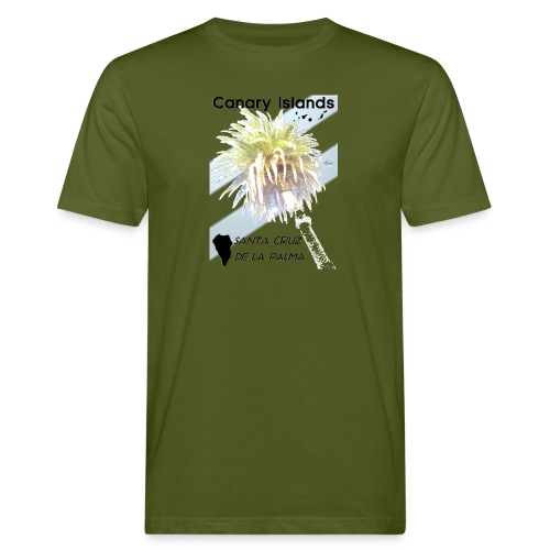 Santa Cruz de La Palma - Männer Bio-T-Shirt