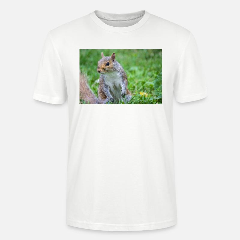 Écureuil gris Grauhörnchen Sciurus carolinensis - T-shirt bio CRAFTER Stanley Stella Unisexe - blanc