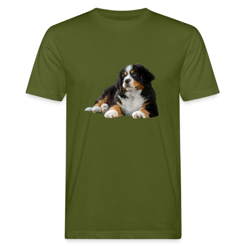 Berner Sennenhund - Männer Bio-T-Shirt