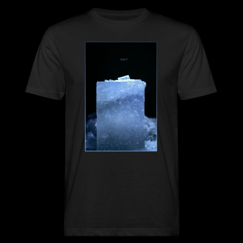 Salt - Männer Bio-T-Shirt