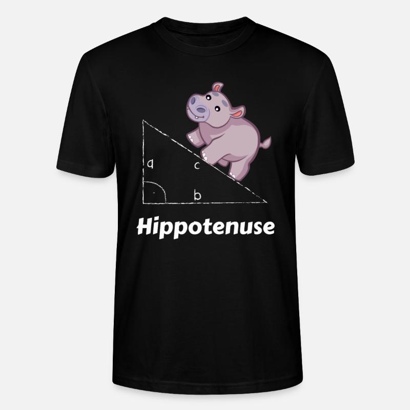 Hippotenuse Maths Geek - T-shirt bio CRAFTER Stanley Stella Unisexe - noir