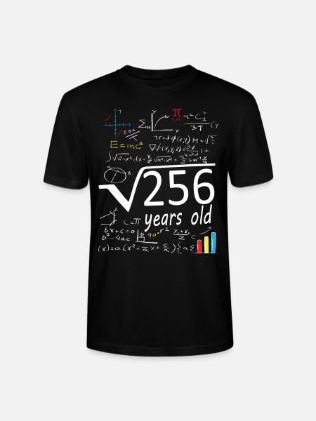 Vierkantswortel 256 = 16-jarige verjaardag - Stanley/Stella Uniseks bio-T-shirt CRAFTER - zwart