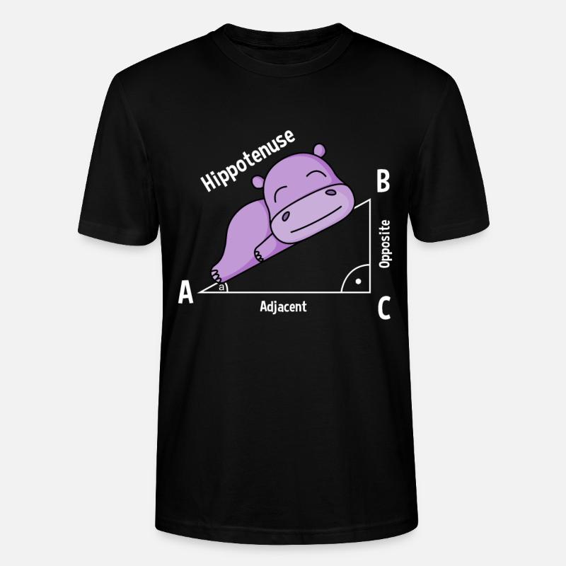 Professeur de mathématiques Hipotenuse Math - T-shirt bio CRAFTER Stanley Stella Unisexe - noir