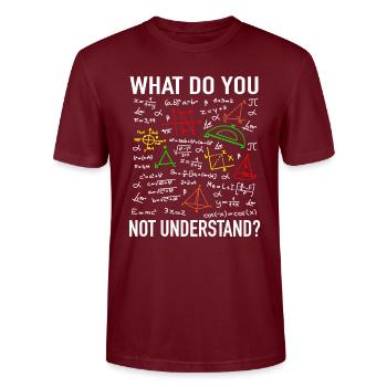 Math teaching math teacher physicist student professor - Stanley/Stella CRAFTER Unisex Organic T-Shirt - burgundy - Front - Alina (178cm) & Michal (187cm)