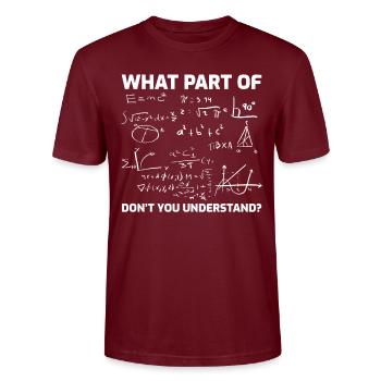 Mathematics Teacher Student Humor Saying Gift - Stanley/Stella CRAFTER Unisex Organic T-Shirt - burgundy - Front - Alina (178cm) & Michal (187cm)