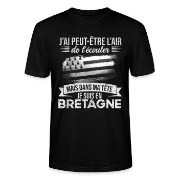 Bretagne Dans Ma Tête Cadeau Breton Breizh Humour - T-shirt bio CRAFTER Stanley Stella Unisexe - noir - Devant - Alina (178cm) & Michal (187cm)