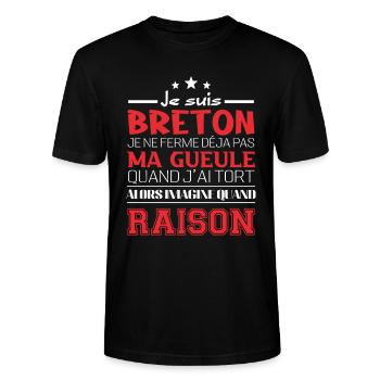 Je suis Breton - T-shirt bio CRAFTER Stanley Stella Unisexe - noir - Devant - Alina (178cm) & Michal (187cm)