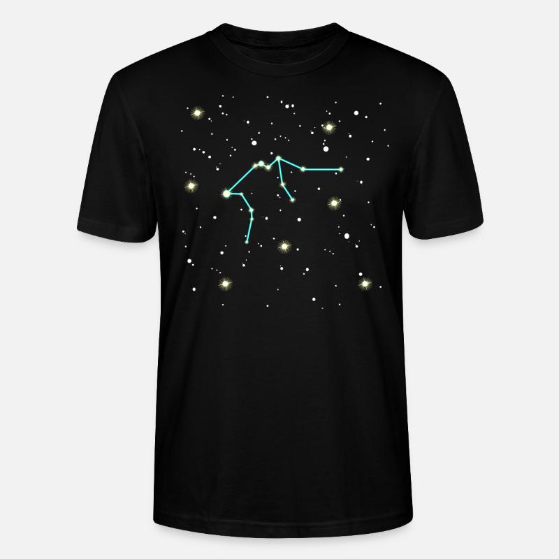 Wassermann Sternzeichen Weltall Design - Stanley/Stella Unisex Bio-T-Shirt CRAFTER - Schwarz