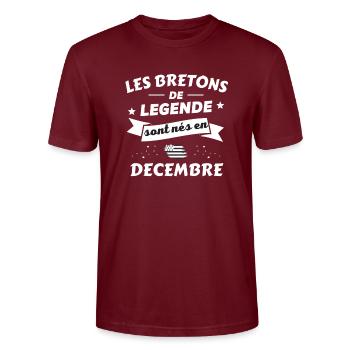 les bretons de legende nés en decembre - T-shirt bio CRAFTER Stanley Stella Unisexe - bordeaux - Devant - Alina (178cm) & Michal (187cm)