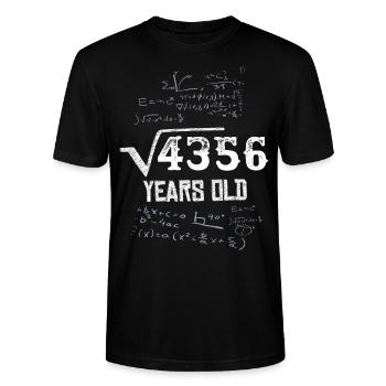 66-års fødselsdag 66 år matematikformel - Stanley Stella CRAFTER unisex økologisk-T-shirt - sort - Foran - Alina (178cm) & Michal (187cm)