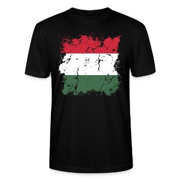 Hungary Flag Hungarian Flag Balaton Hungary - Stanley/Stella CRAFTER Unisex Organic T-Shirt - black - Front - Alina (178cm) & Michal (187cm)