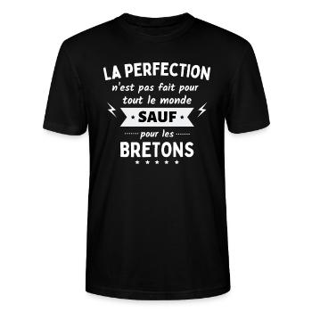 La perfection n’est pas fait sauf pour bretons - T-shirt bio CRAFTER Stanley Stella Unisexe - noir - Devant - Alina (178cm) & Michal (187cm)