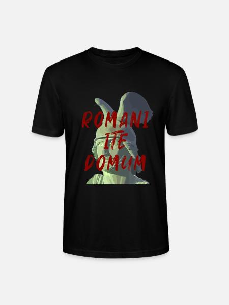 Hermann Arminius Lippe Detmold Romani ite domu - Stanley/Stella Unisex Bio-T-Shirt CRAFTER - Schwarz
