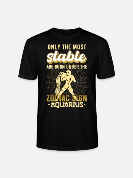 Zodiac Sign Aquarius Astrology Gift - Stanley/Stella CRAFTER Unisex Organic T-Shirt - black