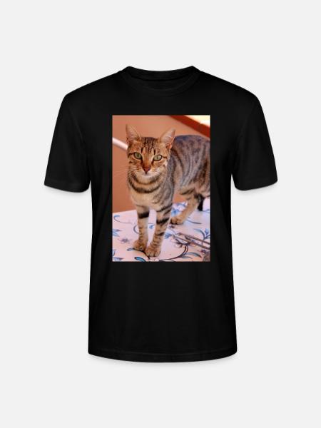 chat, chaton - T-shirt bio CRAFTER Stanley Stella Unisexe - noir