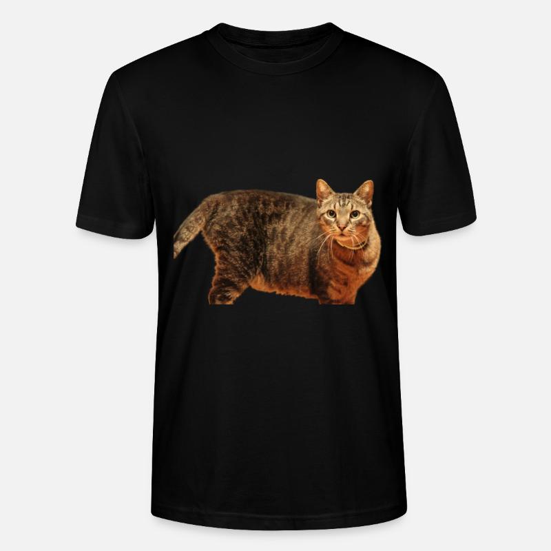 Katze Kätzchen - Stanley/Stella Unisex Bio-T-Shirt CRAFTER - Schwarz