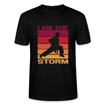 Silhouette einen Karatekämpfer - Combat Contact  - Stanley/Stella Unisex Bio-T-Shirt CRAFTER - Schwarz - Vorne - Alina (178cm) & Michal (187cm)