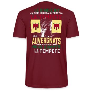 Tempête Auvergnats - T-shirt bio CRAFTER Stanley Stella Unisexe - bordeaux - Dos - Michal (187cm)