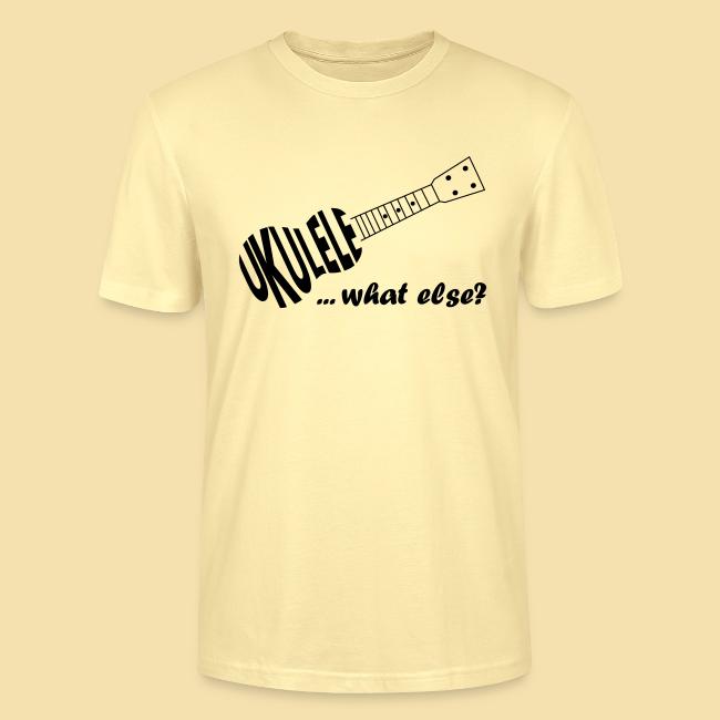 UKULELE What else