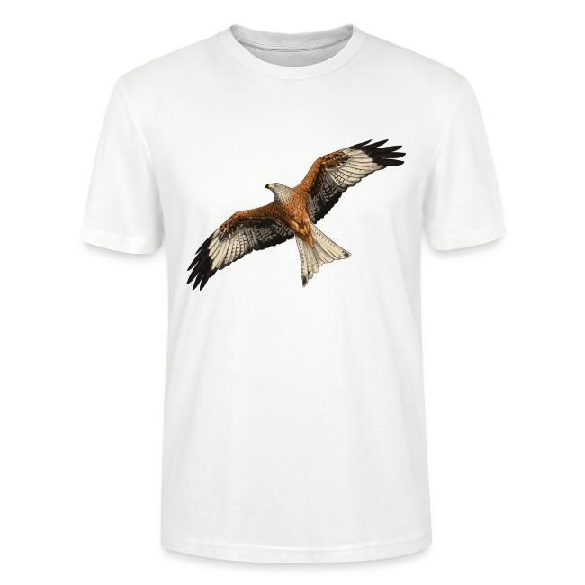 Birdingplaces Red Kite