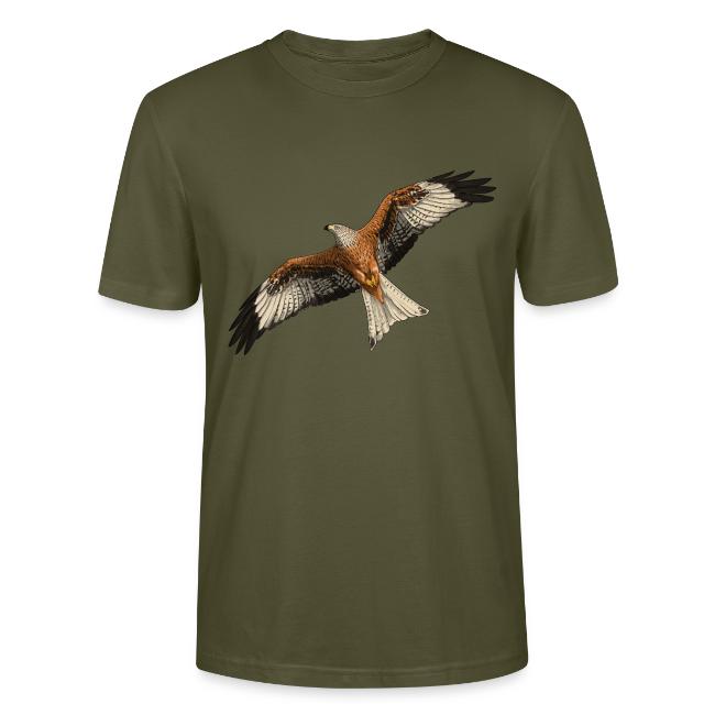 Birdingplaces Red Kite