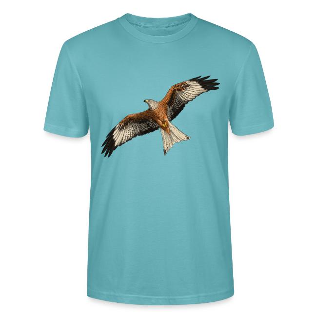 Birdingplaces Red Kite