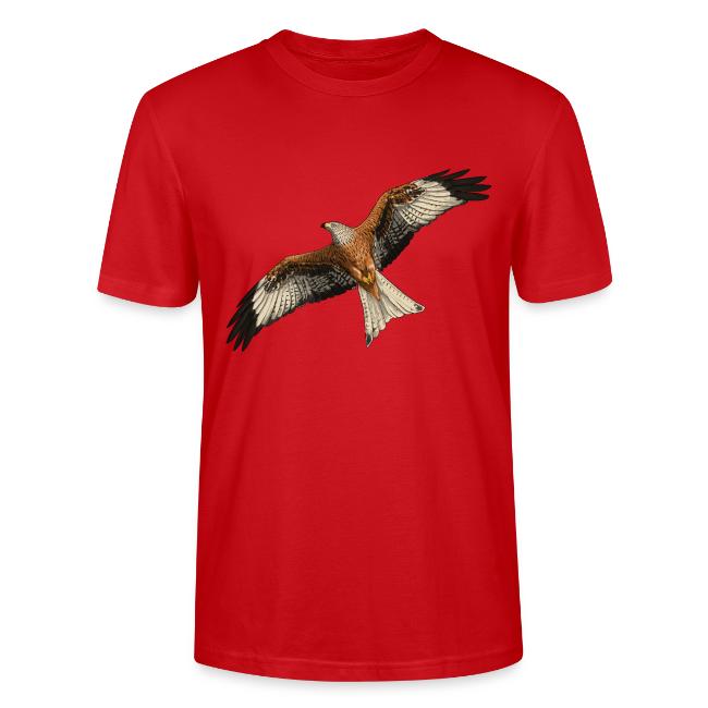 Birdingplaces Red Kite