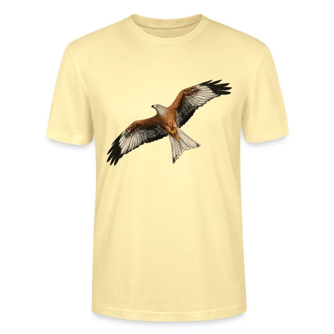 Birdingplaces Red Kite