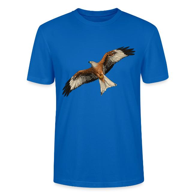 Birdingplaces Red Kite