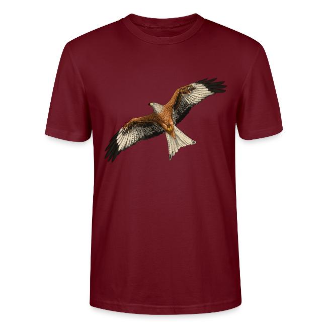 Birdingplaces Red Kite