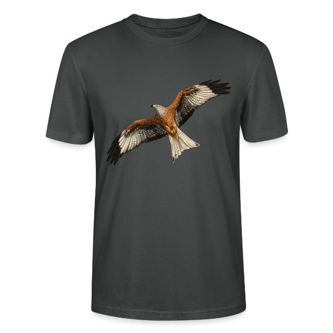 Birdingplaces Red Kite
